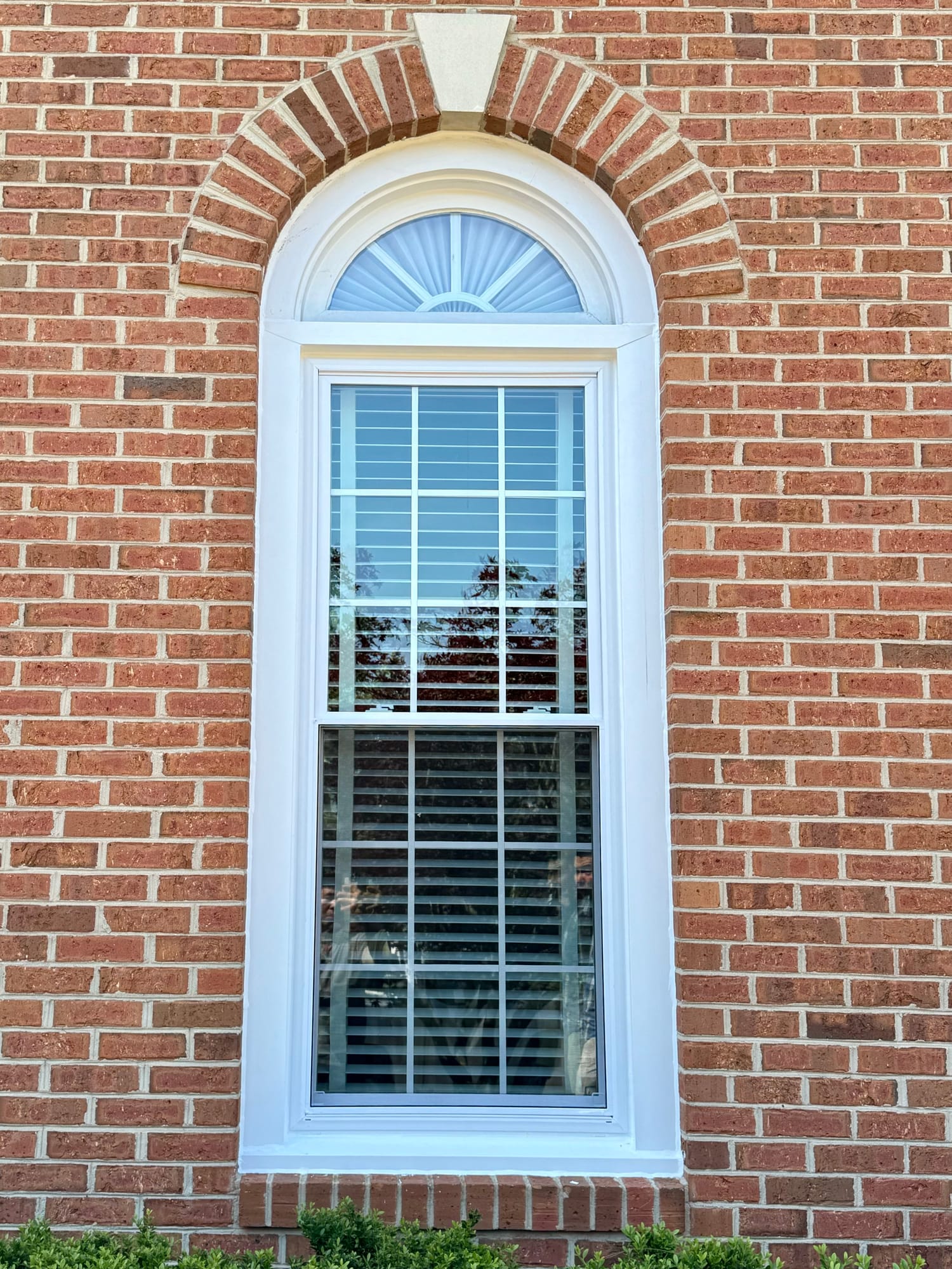 Project photo 1